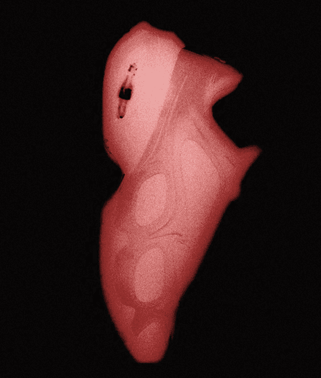 Red-toned sculptural shoe product